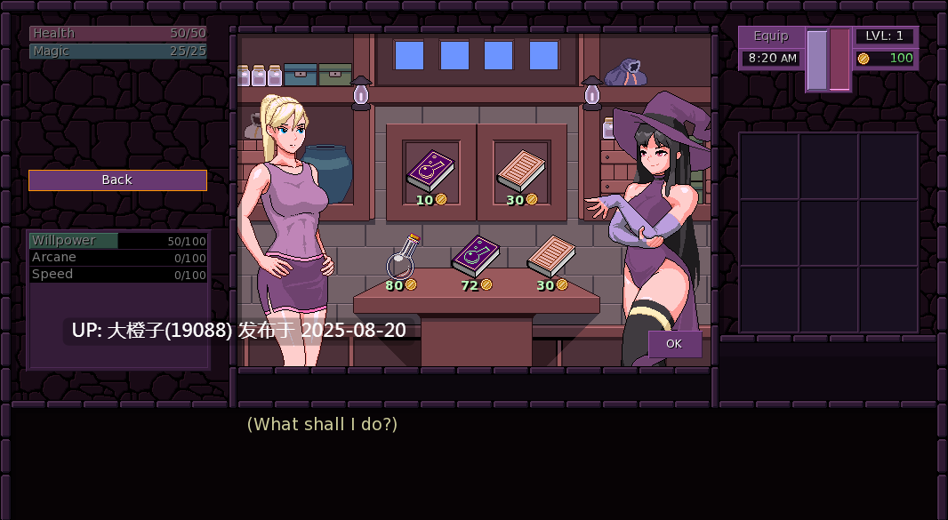 [2D欧美RPG官中动态PC+安卓]魔法之城 Town of Magic Ver0.72.007[1.52G]-第11张图片-萌站
