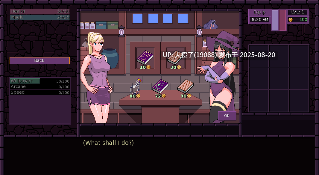 [2D欧美RPG官中动态PC+安卓]魔法之城 Town of Magic Ver0.72.007[1.52G]-第12张图片-萌站