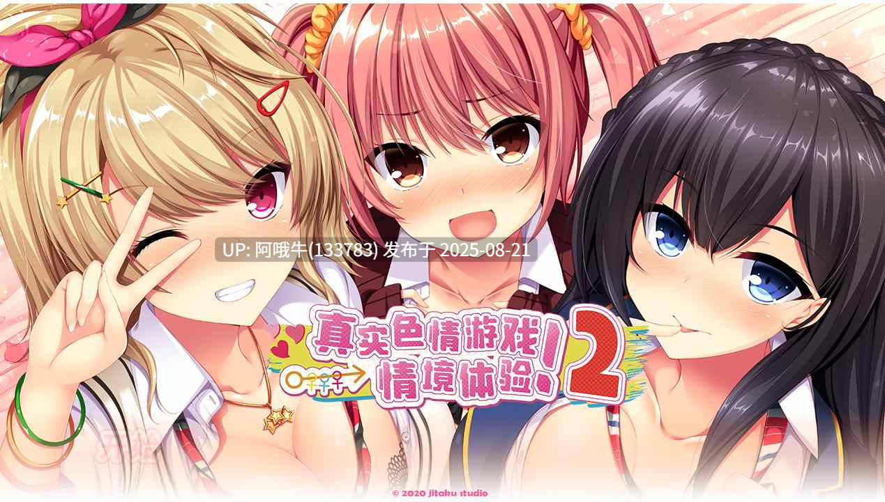 【日系/ADV/官中/动态/全CG/存档CV】真实动漫情境体验 2 ！リアルエロゲシチュエーション！2 [3.9G]【序号3339】