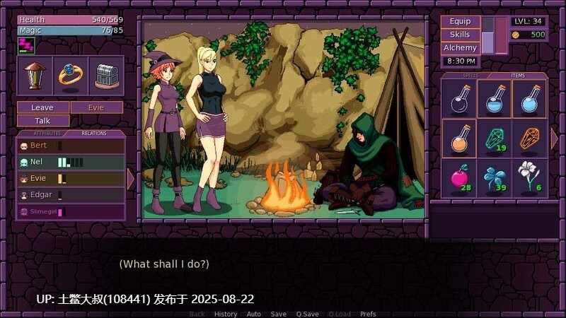 【2D欧美RPGAI汉化动态PC+安卓】 townofmagic AN 内部版本：版本 0.73.008 [821MB] -第2张图片-萌站