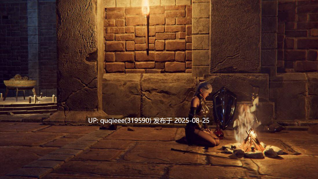 【PC/精品3D ACT/官中/步兵/爆衣/全动态/自由探索/H魂游/卖春】地下城女骑士 -第4张图片-萌站