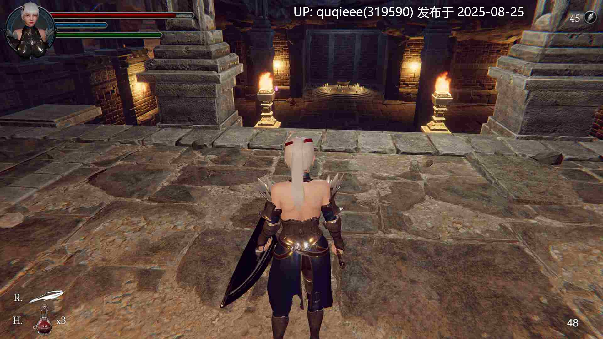 【PC/精品3D ACT/官中/步兵/爆衣/全动态/自由探索/H魂游/卖春】地下城女骑士 -第9张图片-萌站