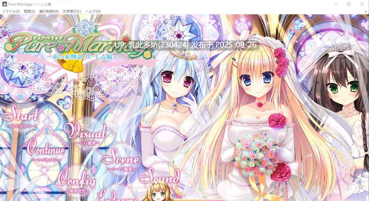 28[大型-PC] [大型系列-破处] 红线物语 三部曲 美丽新娘 赤い糸物語 官方汉化硬盘版  [5.1G]-第12张图片-萌站