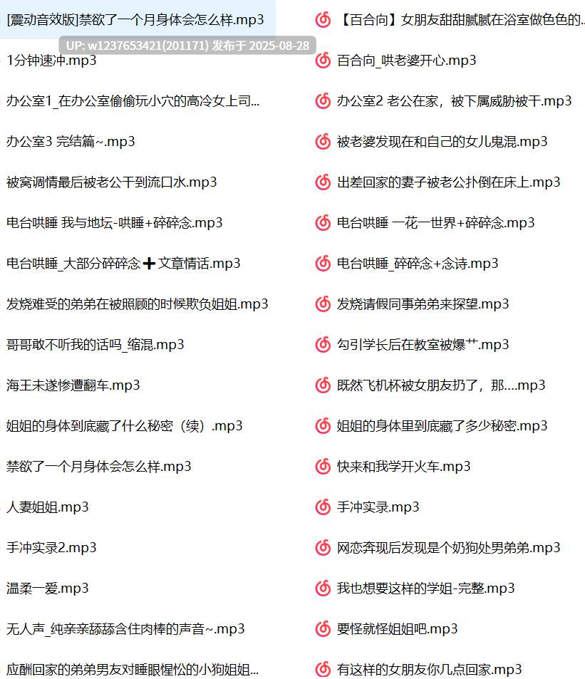  Rainnight雨中文音声合集【1G】