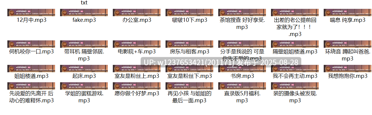暴躁啊御中文音声合集【300M】