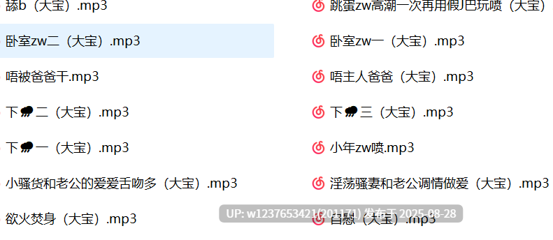 大宝中文音声合集【787M】