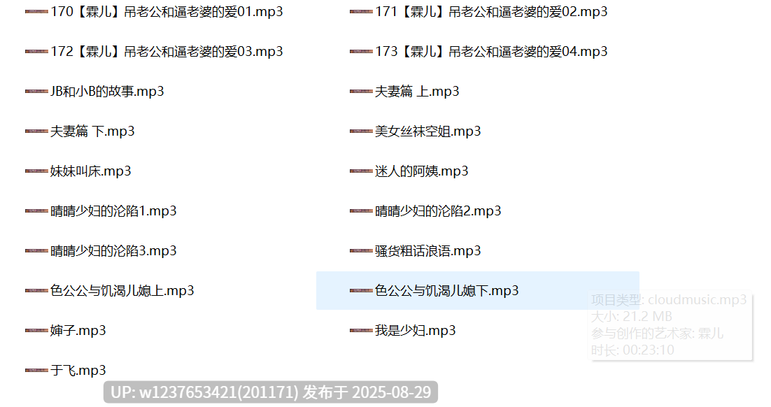 霖儿中文音声合集【520M】