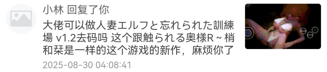 [PC+安卓winlator/盖世模拟器][个人去码]人妻エルフと忘れられた訓練場 ver1.2
