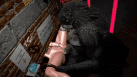 新作-Skinny alluring Marin Kitagawa serves werewolf cock in glory hole brothel-第3张图片-萌站 新作-Skinny alluring Marin Kitagawa serves werewolf cock in glory hole brothel-第3张图片-萌站