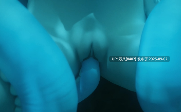 Elasid魔物娘合集 视频5G-第6张图片-萌站