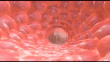 【动画 口交 束缚 调教 爆操】[夜桜字幕组][140520][SYLD]Fragrance~ボクが出會った肉便器、その香りについての記憶[中文字幕] 【舟合3093】