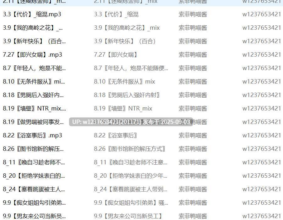 索菲鸭喵酱中文音声合集【1G】-第2张图片-萌站