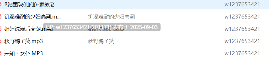 未分类中文音声合集【1G】-第2张图片-萌站