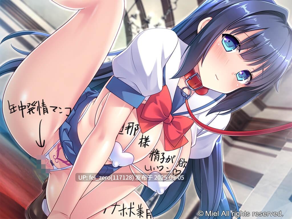 【PC/ADV】【汉化】【全CG】大和抚子的大小姐为了怀孕作为便利飞机杯妻子嫁了过来！[Miel] -第2张图片-萌站