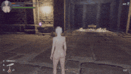 【精品ACT/3D/PC/官中/更新/步兵/动态/探索/H版魂游/卖春】地下城女骑士  更新全收集存档+回想-第9张图片-萌站