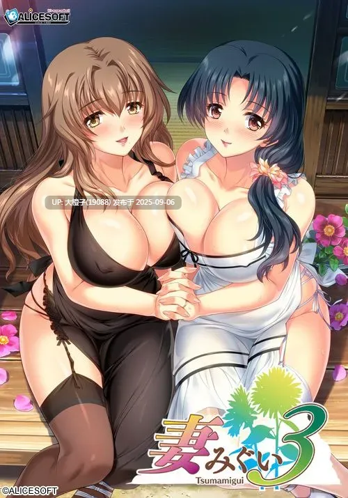 [神级大作SLG精修汉化] [Alicesoft] 妻みぐい３  妻中蜜３ v0.801汉化+本体整合 [2.25G CV]-第10张图片-萌站