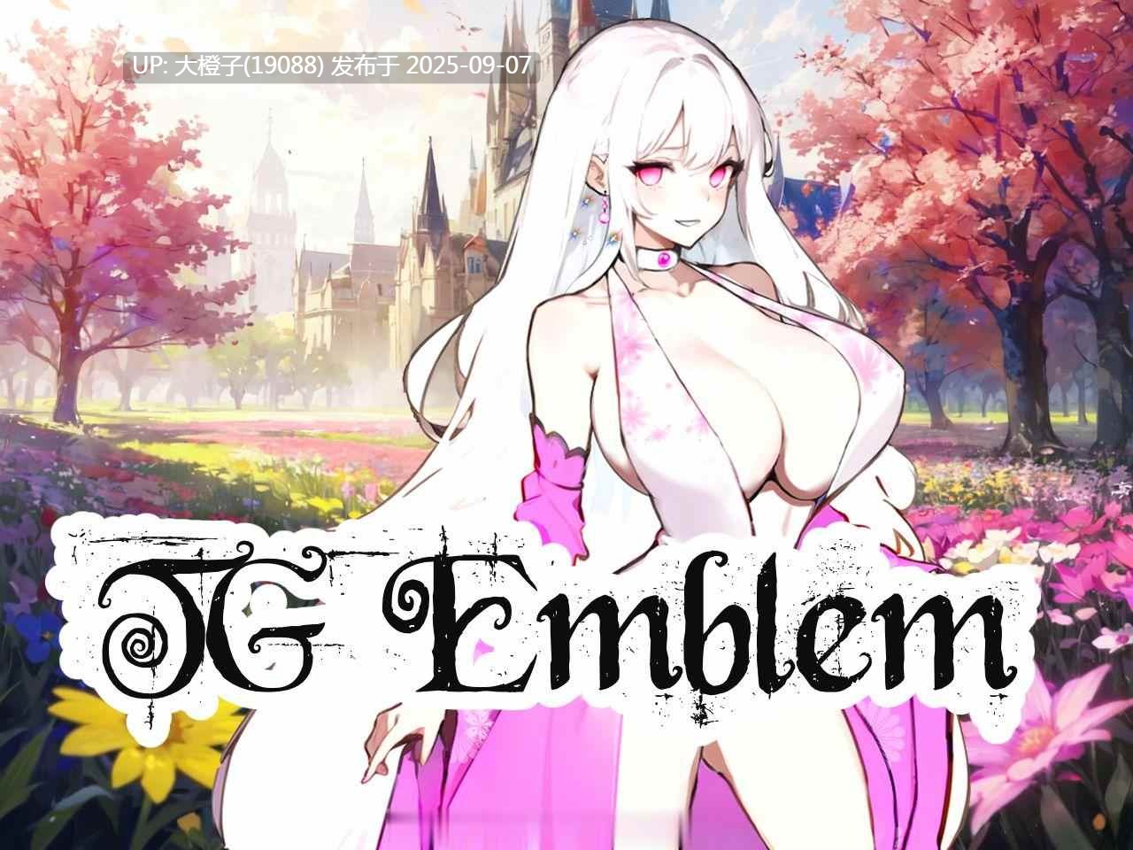 [SRPG汉化步兵PC]TG Emblem v1.0.0 [979M]-第10张图片-萌站