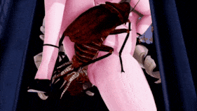 新作-navia with insect-第7张图片-萌站 新作-navia with insect-第7张图片-萌站
