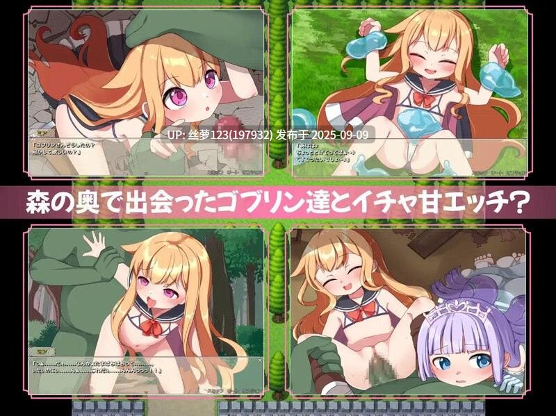 [SLG/PC]纯真的见习冒险者与哥布林们。＋还有公主哦♪  