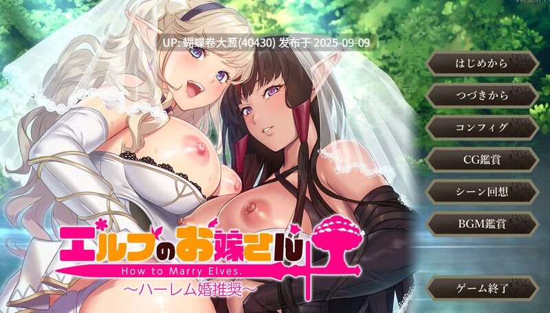 [精灵后宫][冷淡系女王征服][无表情冷淡暗精灵巨根调教发情堕落]如何与精灵结婚~后宫结婚推奖エルフのお嫁さん 〜ハーレム婚推奨〜[Ver1.0+全CG+特典] -第2张图片-萌站