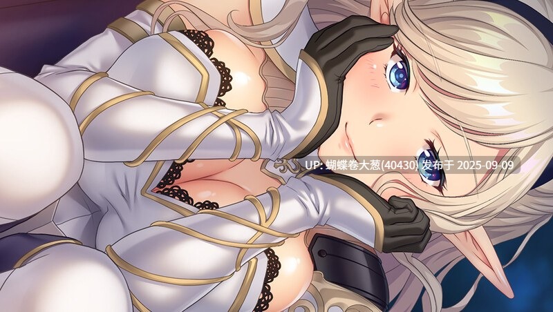 [精灵后宫][冷淡系女王征服][无表情冷淡暗精灵巨根调教发情堕落]如何与精灵结婚~后宫结婚推奖エルフのお嫁さん 〜ハーレム婚推奨〜[Ver1.0+全CG+特典] -第3张图片-萌站