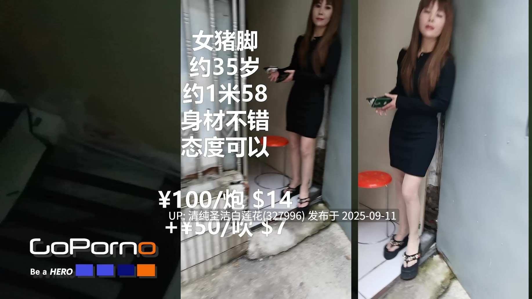 【Goporno】免费！ 新作甄选《扫街高颜骚货》操遍红颜一姐 中文配字 高清1080P原版 [9V 1G]-第2张图片-萌站
