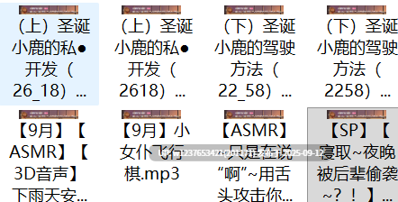 【代找✅】露珀塔中文音声合集【2G】