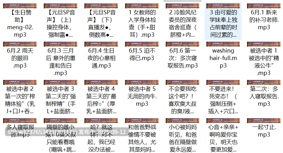 【代找✅】露珀塔中文音声合集【2G】-第2张图片-萌站