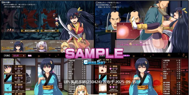 12[RPG-PC] [爆款RPG汉化动态]大型江户幻想RPG：女忍者花梨V1.2 精翻汉化版+存档[新汉化][1.8G]-第7张图片-萌站