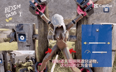 40[SLG-PC] [互动SLG中文动态]BDSM 绿洲 V1.0.0 官方中文版[3.5G]-第4张图片-萌站