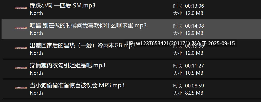 【个人激推】North中文音声小合集+哄睡小故事【1G】