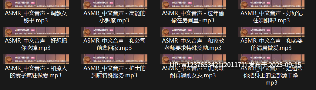 P站ASMR录音中文音声合集【1.08G】