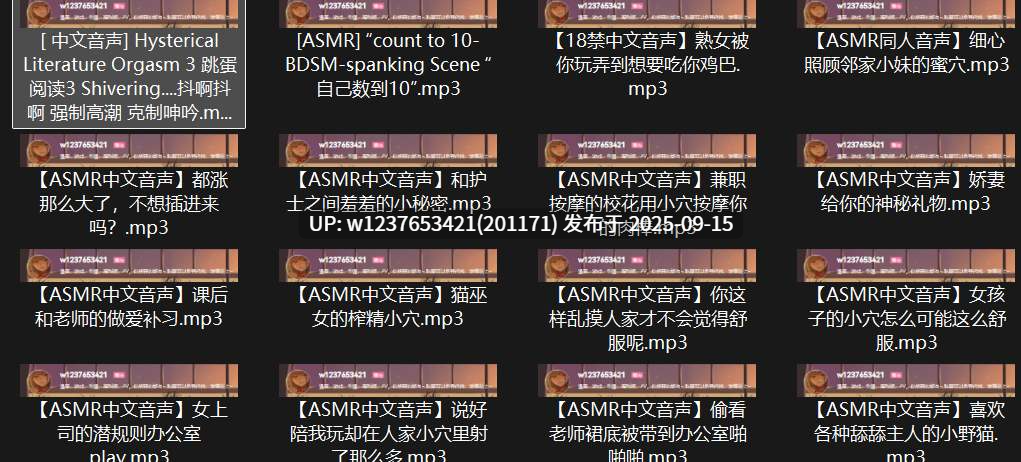P站ASMR录音中文音声合集【1.08G】-第2张图片-萌站