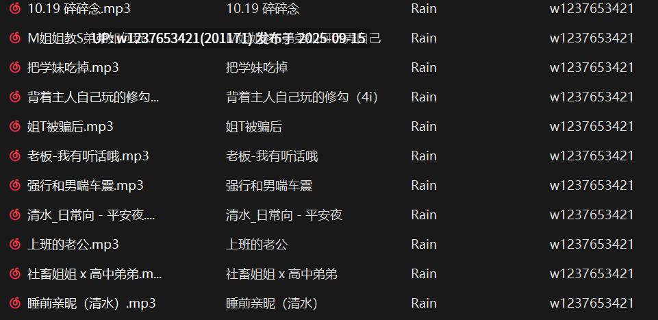 Rain中文音声合集【272M】