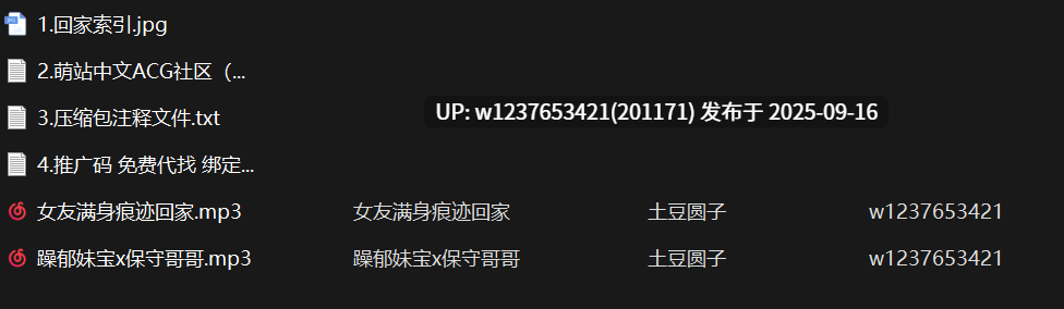 土豆圆子中文音声两期【92M】