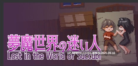 【ACT/中文/像素/步兵】 [しもふみ屋] 沉沦梦魔世界 夢魔世界の迷い人 v1.0.3 STEAM官方中文步兵版 [100M新作]【序号3612】-第5张图片-萌站