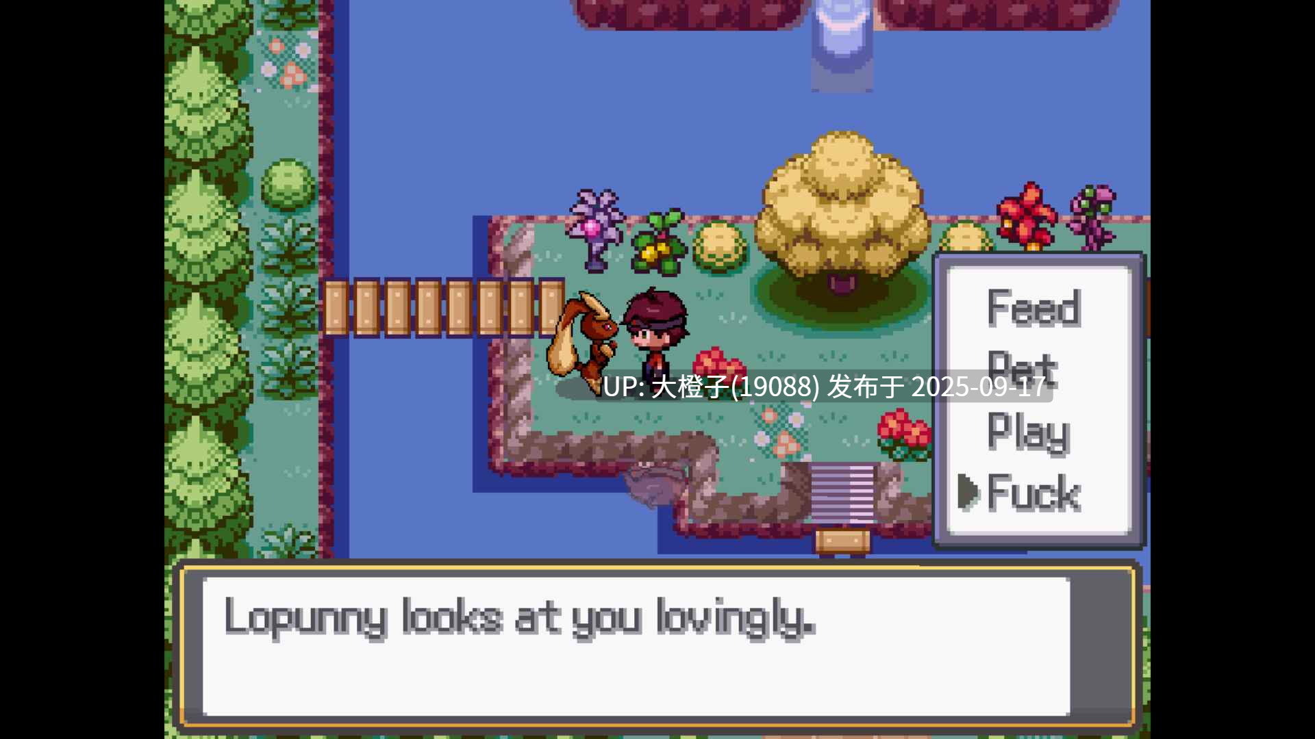 [RPG生肉PC] 神奇宝贝 'H' 版本 v0.625B Pokémon ‘H’ Version [494M]-第7张图片-萌站