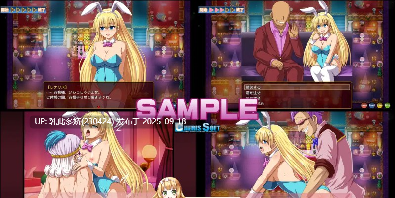 22[RPG-PC] [精品RPG汉化]蕾娜莉丝的渴望 V1.1 挂载机翻汉化版 [2.1G]-第10张图片-萌站