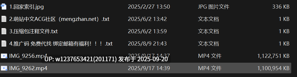 9月【核弹】顶级大神【狮子座】至尊版 双视角 超嫩清纯完整版，第一视角和第三视角，小穴是真的粉【2v2.1G】