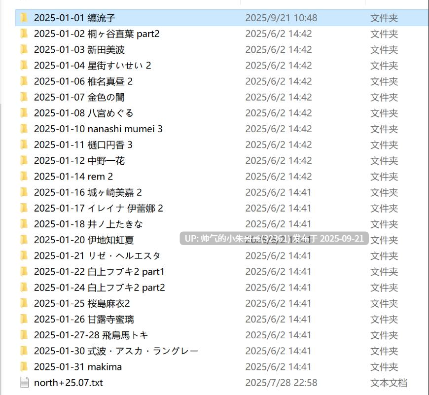 MISAAKI 付费AI图集 2025.01【6g】