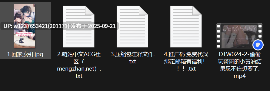 【DemiFairyTW(Demi爹咪)】DTW024-2-偷偷玩哥哥的小黃油結果忍不住想要了【自慰】【359M】