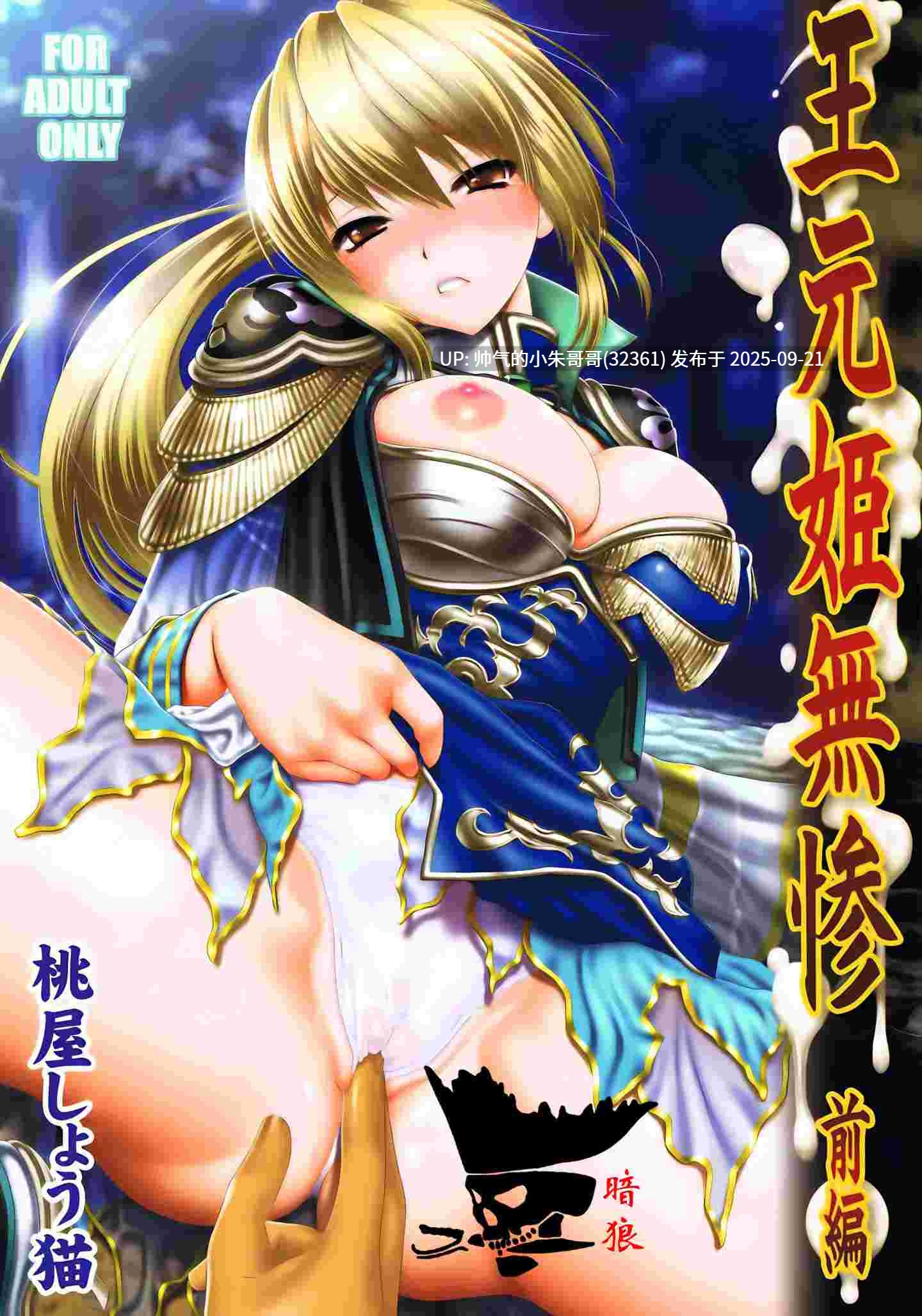 无码 真·三國無双系列 10本 [374p+172m]-第15张图片-萌站