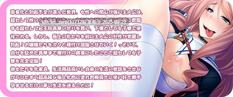 【PC/ADV】種付けでハメ穴家具になる生意気お嬢様たち【汉化】【全CG】[Miel] -第11张图片-萌站