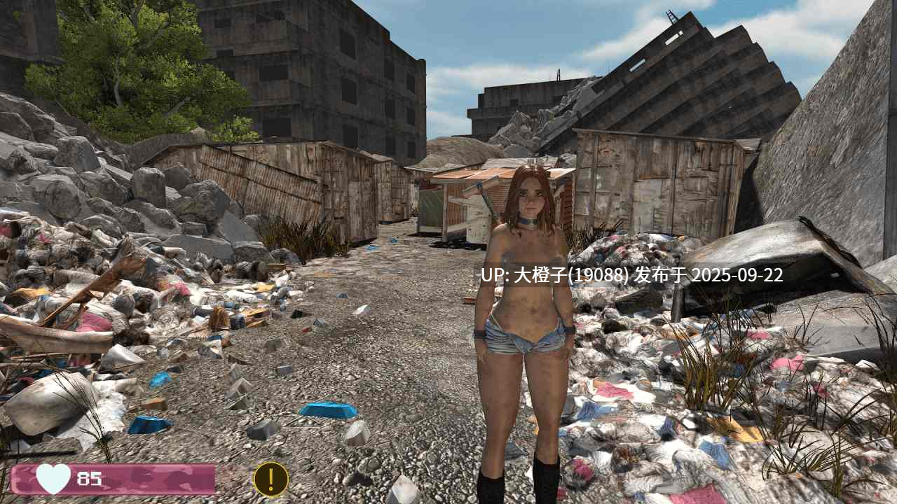 [SLG机翻末日探索动态PC] 婊子之地 Bitch Land Build 10.c[3.03G]-第6张图片-萌站