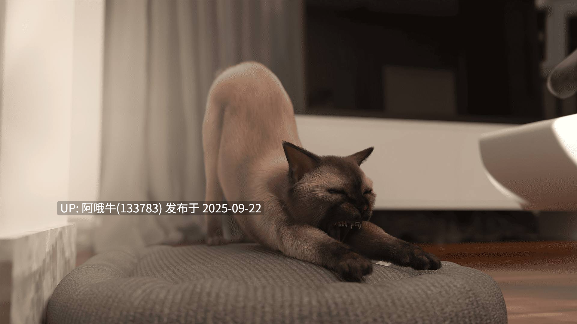 【欧美/SLG/PC机翻/安卓生肉】救赎未遂 Attempted Redemption ver1.0.0 [Ch.3 P1] [小丑的巢穴]【序号3718】-第8张图片-萌站