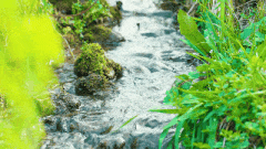 【AV】棉花糖般的胸部意外走光 终极幸运瞬间SP 还有透视装哦 小日向美优/0922009-第2张图片-萌站