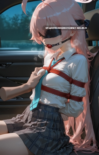 【捆绑/调教/迷奸/堕落】[MISAAKI]hoshino_小鳥遊ホシノ_堕落への計画【128M】-第6张图片-萌站
