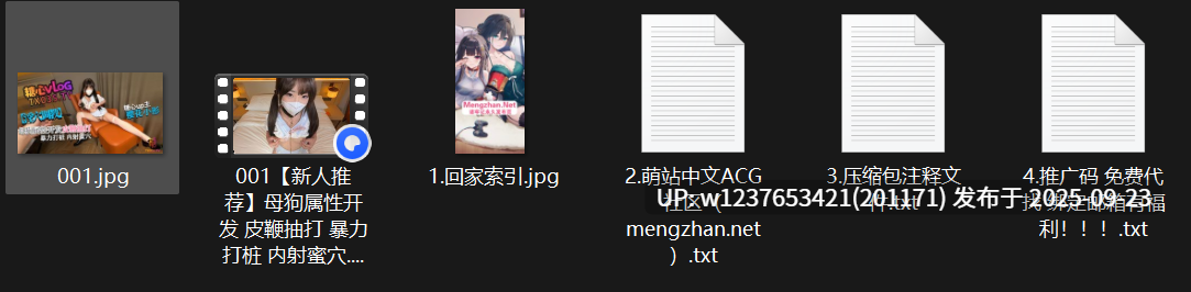 【樱花小彤】母狗属性开发 皮鞭抽打 暴力打桩 内射蜜穴【490M】