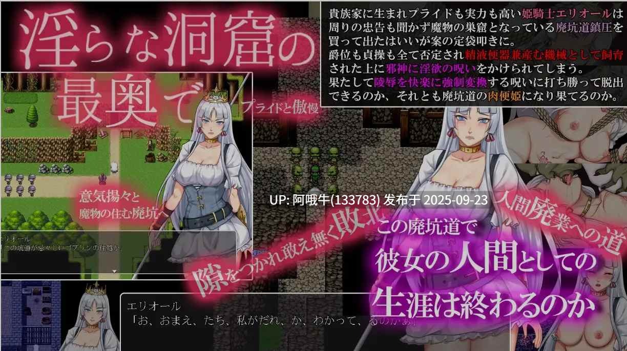 【日式/RPG/机翻/萌站内植】堕落骑士艾利欧尔 废坑道化作肉欲欢愉的魔岩窟 机翻版ver1.0.0 [1.5G]【序号3722】-第5张图片-萌站