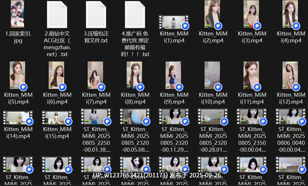 St站国内顶级巨乳女神【Kitten_MiMi】高颜值大奶~性感裸舞【40V/15G】